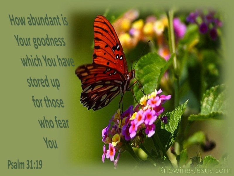 Psalm 31:19 How Abundant Is Your Goodness (sage)